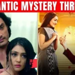 Tere Bina Jiya Jaye Na Review Lead Actors Shine in Mystery