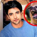 Actor Akash Ahuja’s Dog Bite Incident and Positive Response